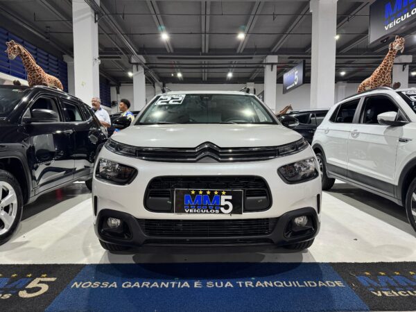 C4 CACTUS 2022