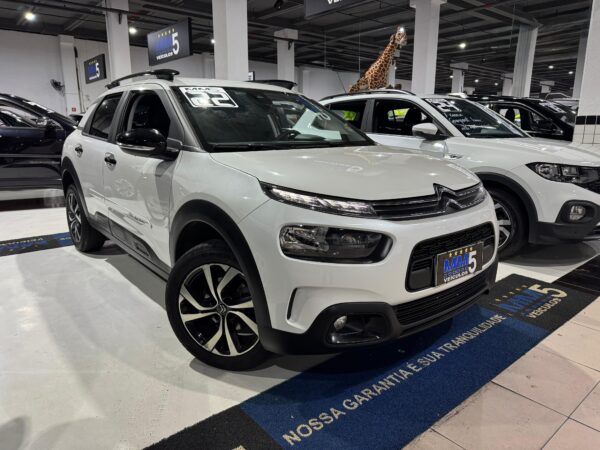 C4 CACTUS 2022 - Imagem 2