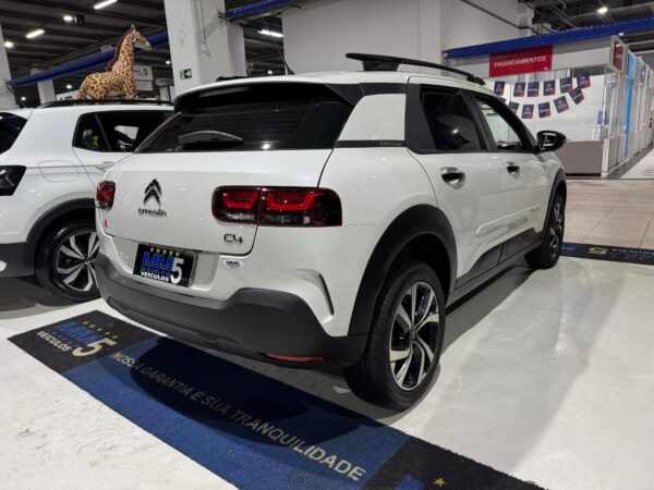 C4 CACTUS 2022 - Imagem 4