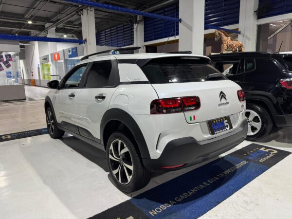C4 CACTUS 2022 - Imagem 5