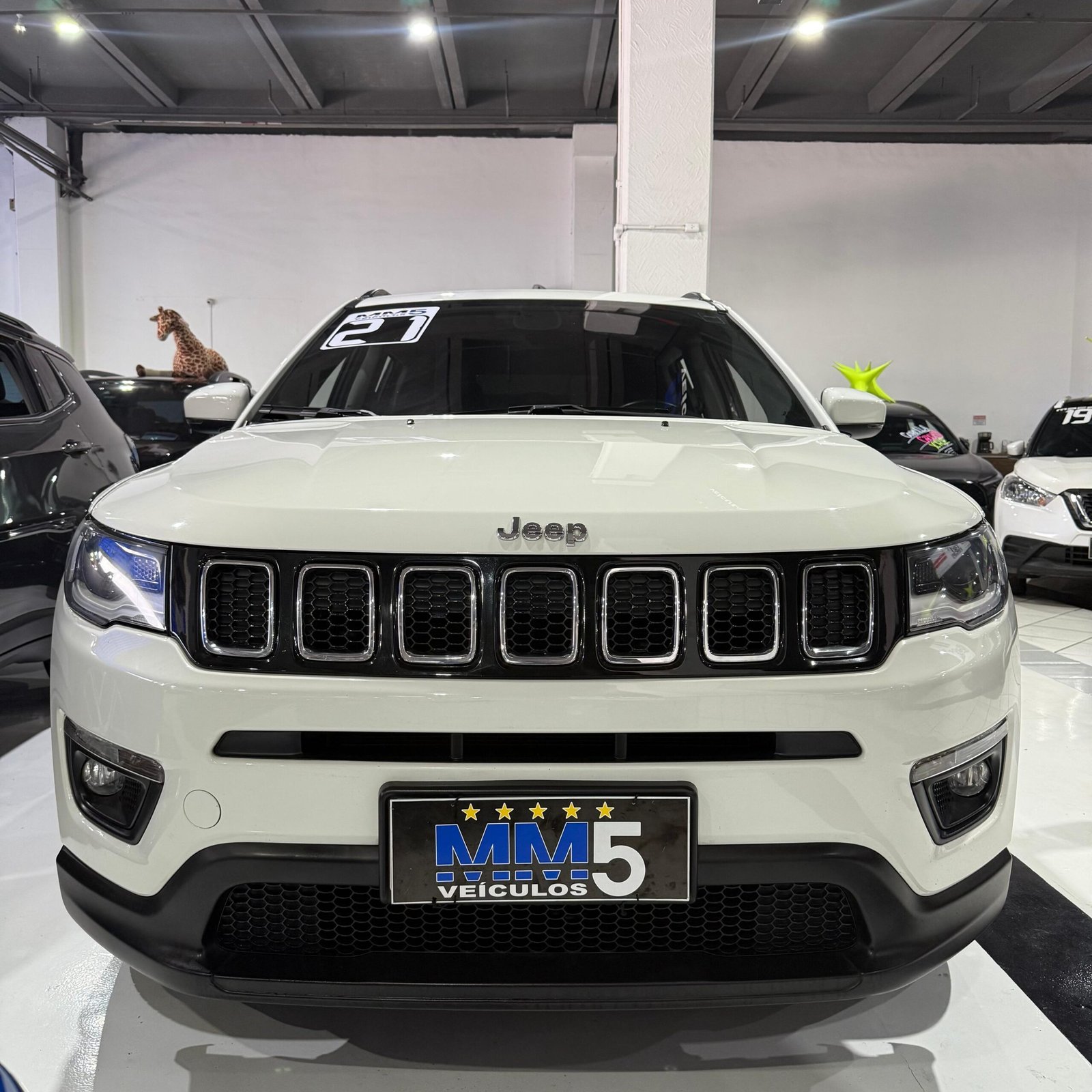 WhatsApp Image 2025-11-08 at 13.53.21