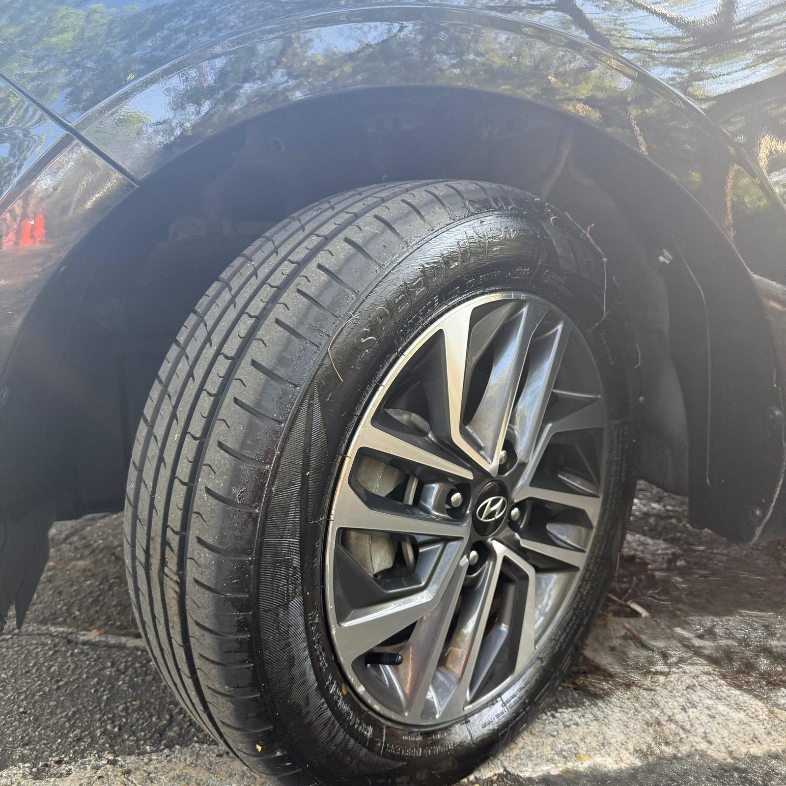 WhatsApp Image 2025-11-11 at 17.07.56