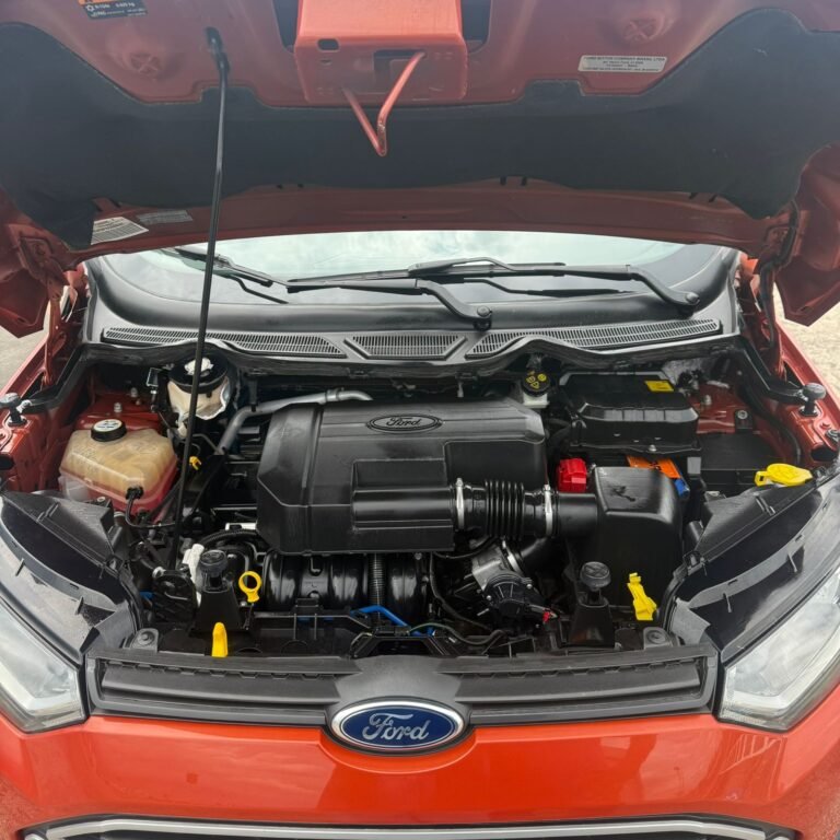 WhatsApp Image 2025-12-02 at 14.11.51 (1)