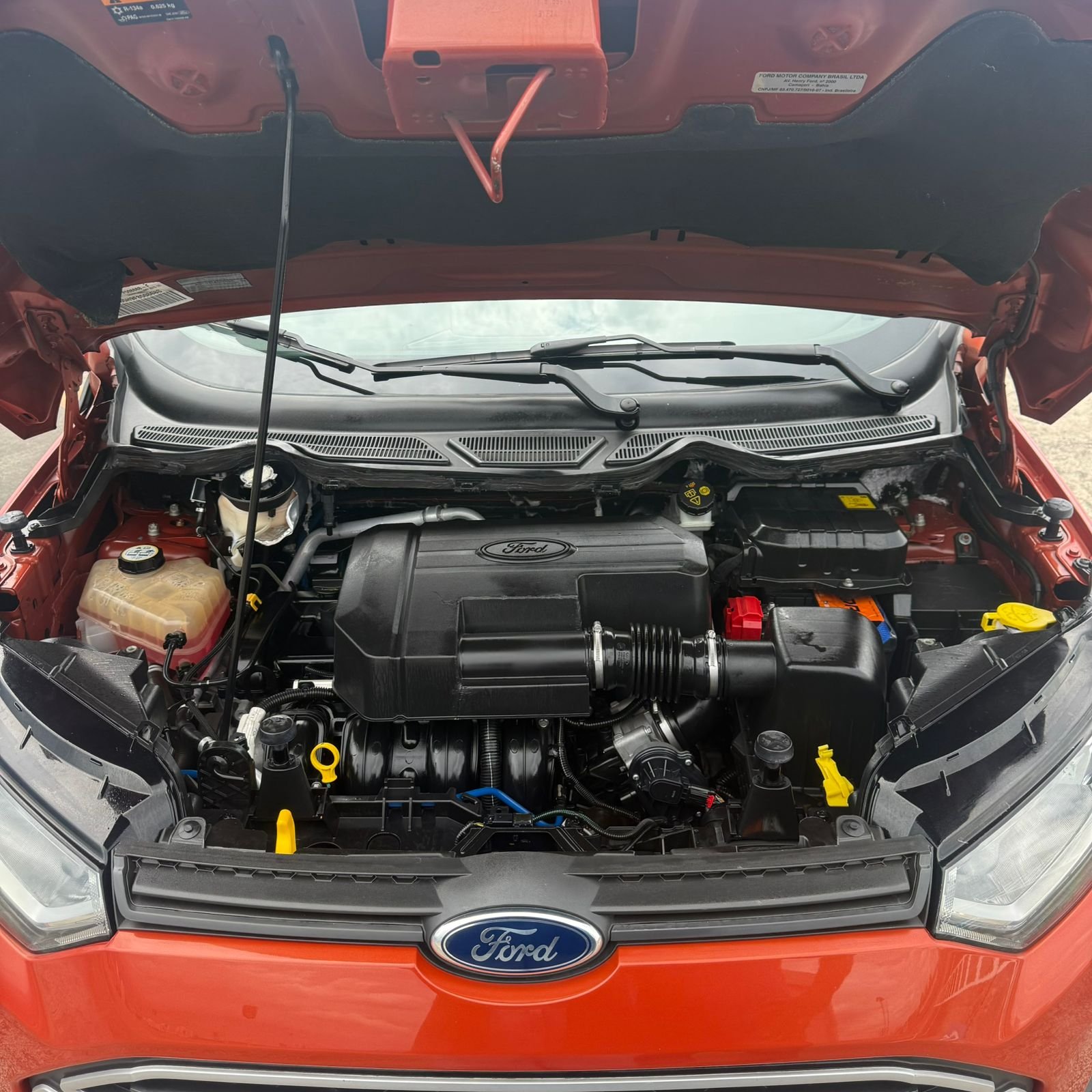 WhatsApp Image 2025-12-02 at 14.11.51 (1)