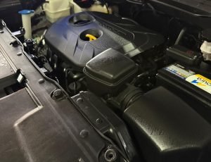 WhatsApp Image 2026-02-26 at 16.46.36 (4)