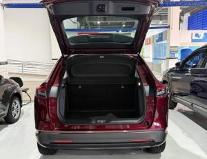 WhatsApp Image 2026-03-12 at 15.04.07