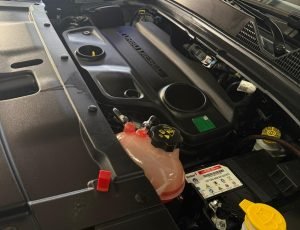 WhatsApp Image 2026-03-14 at 15.57.52 (3)