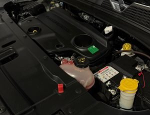 WhatsApp Image 2026-04-07 at 19.00.07