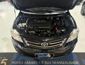 WhatsApp Image 2026-04-14 at 17.31.50